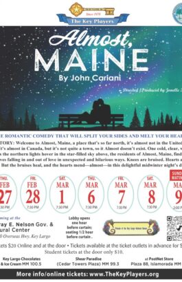 almost maine poster